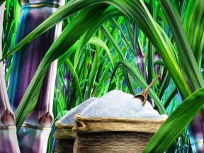 Revitalisasi Industri Gula Indonesia