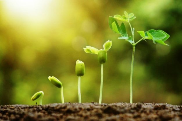 Pertumbuhan Penjualan Mencerminkan Keberhasilan Investasi