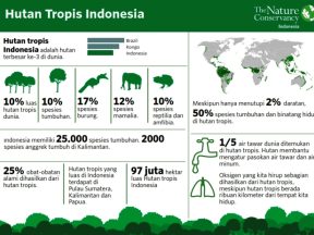 Konsep dan Pengertian Infografis (Infografik)