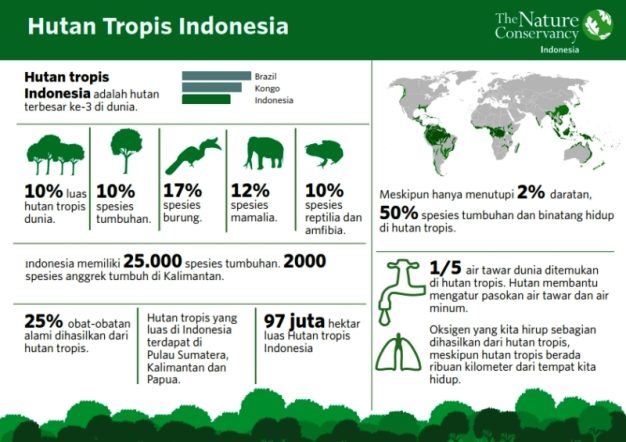 Konsep dan Pengertian Infografis (Infografik)