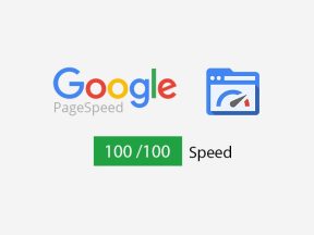 Page Speed Insights Score a Perfect 100%