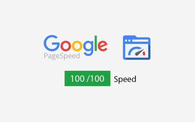 Page Speed Insights Score a Perfect 100%