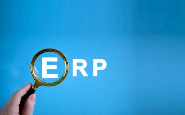 Enterprise Resource Planning (ERP)